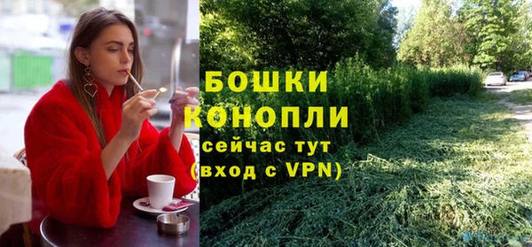 индика Белокуриха