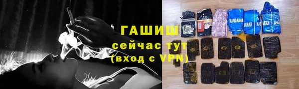 сатива Балахна