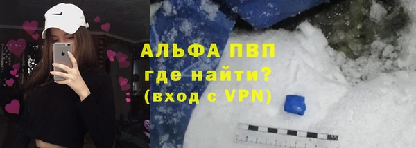 сатива Балахна
