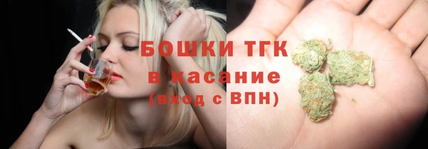 шишки Баксан