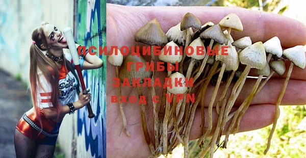 гидропоника Балабаново