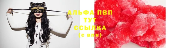 шишки Баксан