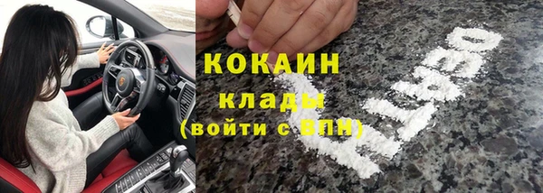 сатива Балахна