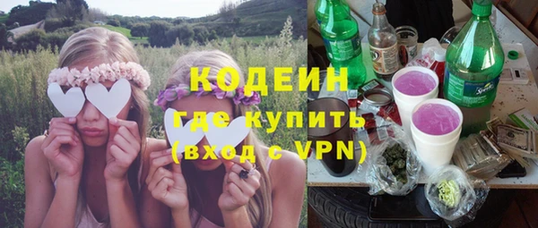 сатива Балахна