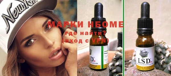 индика Белокуриха