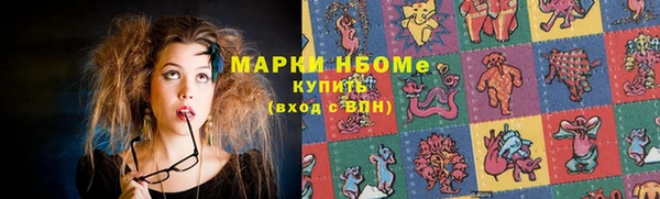 индика Белокуриха
