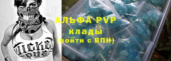 шишки Баксан