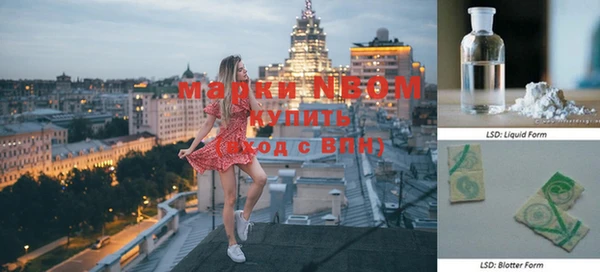 индика Белокуриха