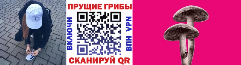 Купить закладки  Змеиногорск  Псилоцибиновые грибы прущие грибы 